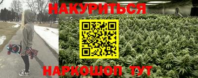 каннабис Камышлов